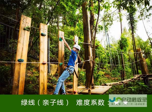 探索数字时代的坚实基础