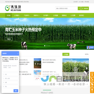 青贮玉米牛必乐_牛羊爱吃好饲草_认准禾佳源_北京禾佳源农业科技股份有限公司